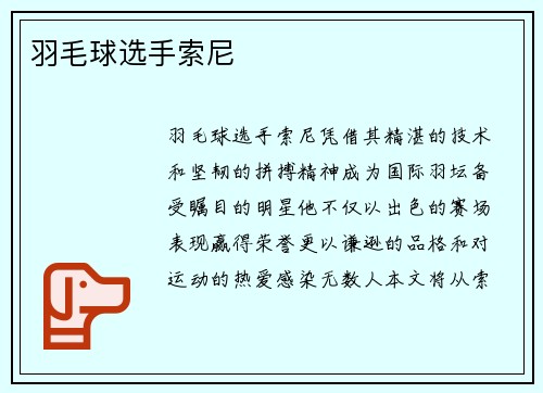 羽毛球选手索尼